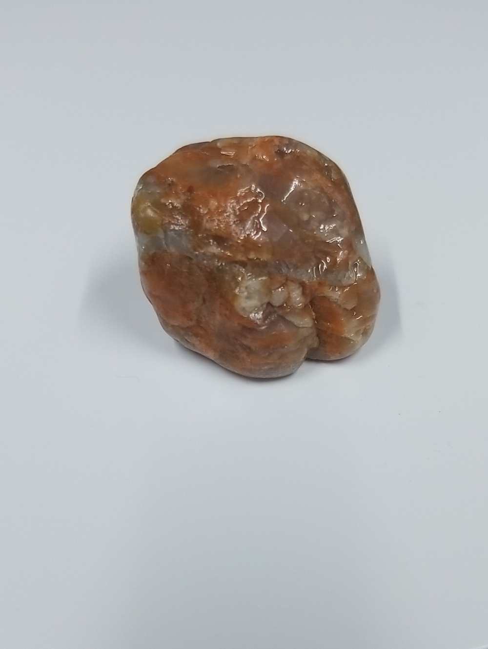 Varnished Rock Specimen - Red-brown and Quartz(?), Small